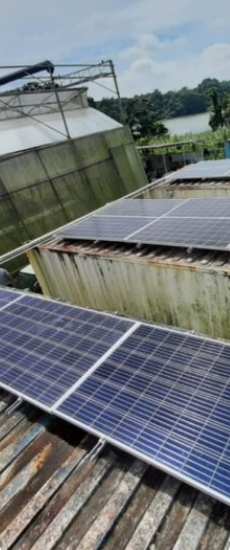  Grundfos (Singapore)